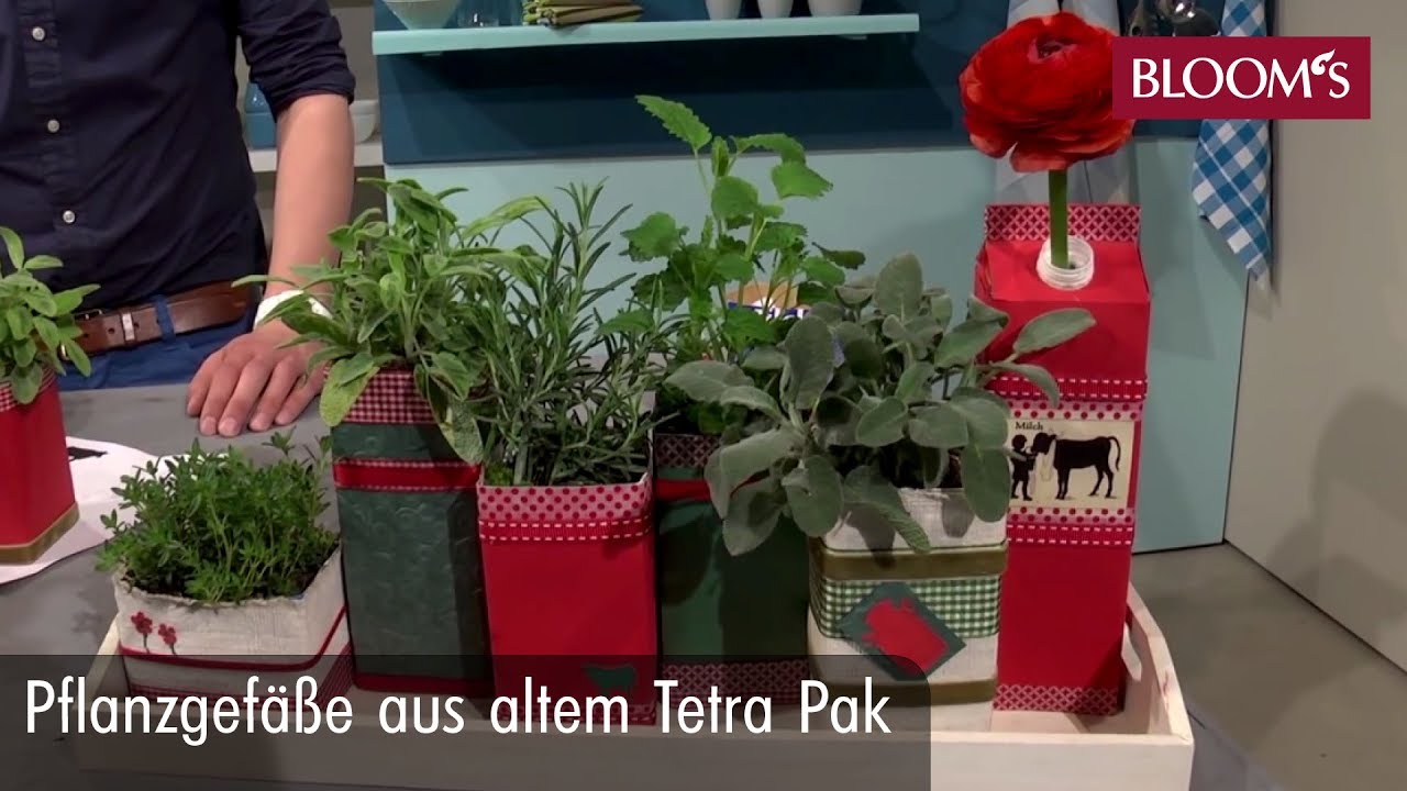 Pflanzgefäße aus TetraPak | DIY Sommerdeko | summer decoration | BLOOM’s Floristik