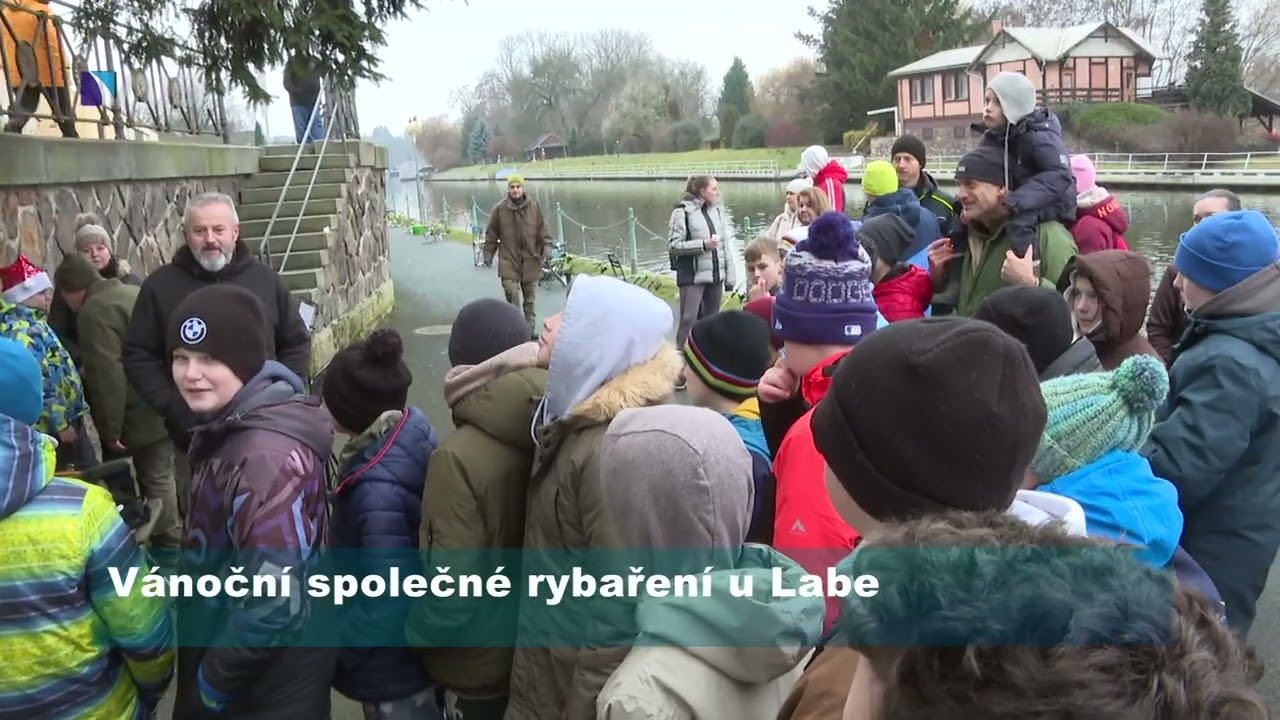 Souhrn vysílání MIS 2. týden
