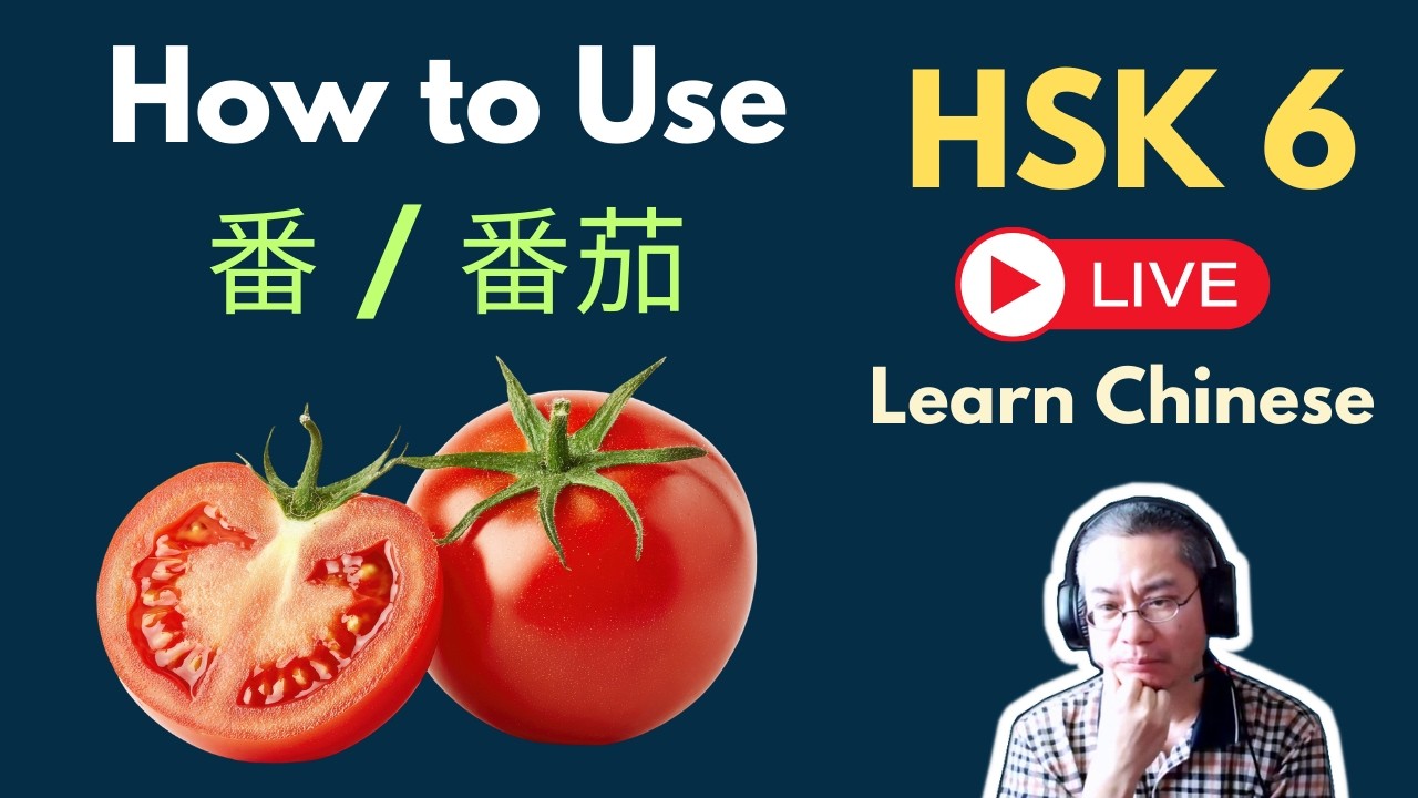 [EP 1250] New HSK 6: Voc 258-259 (Intermediate): 番、番茄|| 新汉语水平3.0中级词汇6 || Join My Daily Live