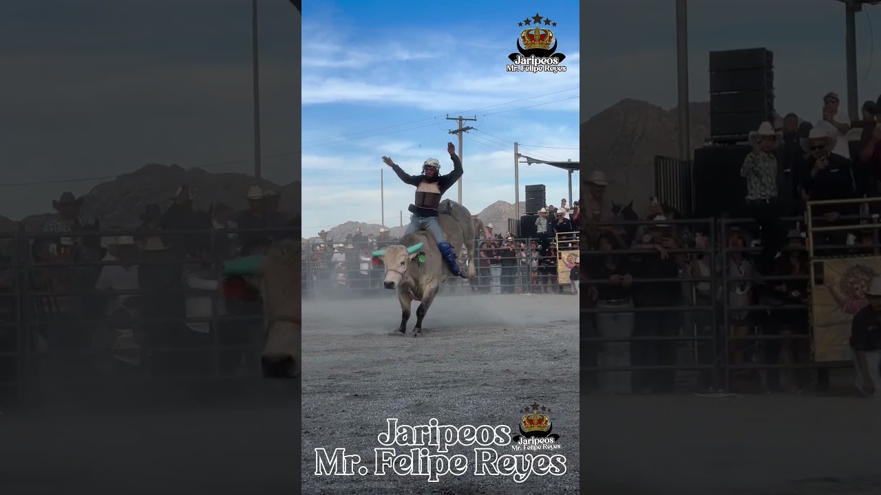 Guayabita de Jalisco vs operativo de guerra ￼ #jaripeo