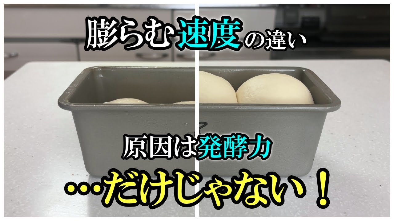膨らみやすいパン生地ってどんな生地？その特徴を知ればパン作りは上達する！