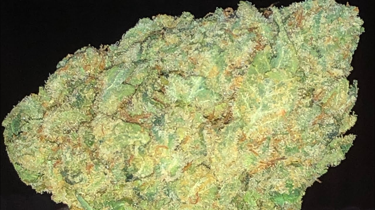 SFV OG strain review