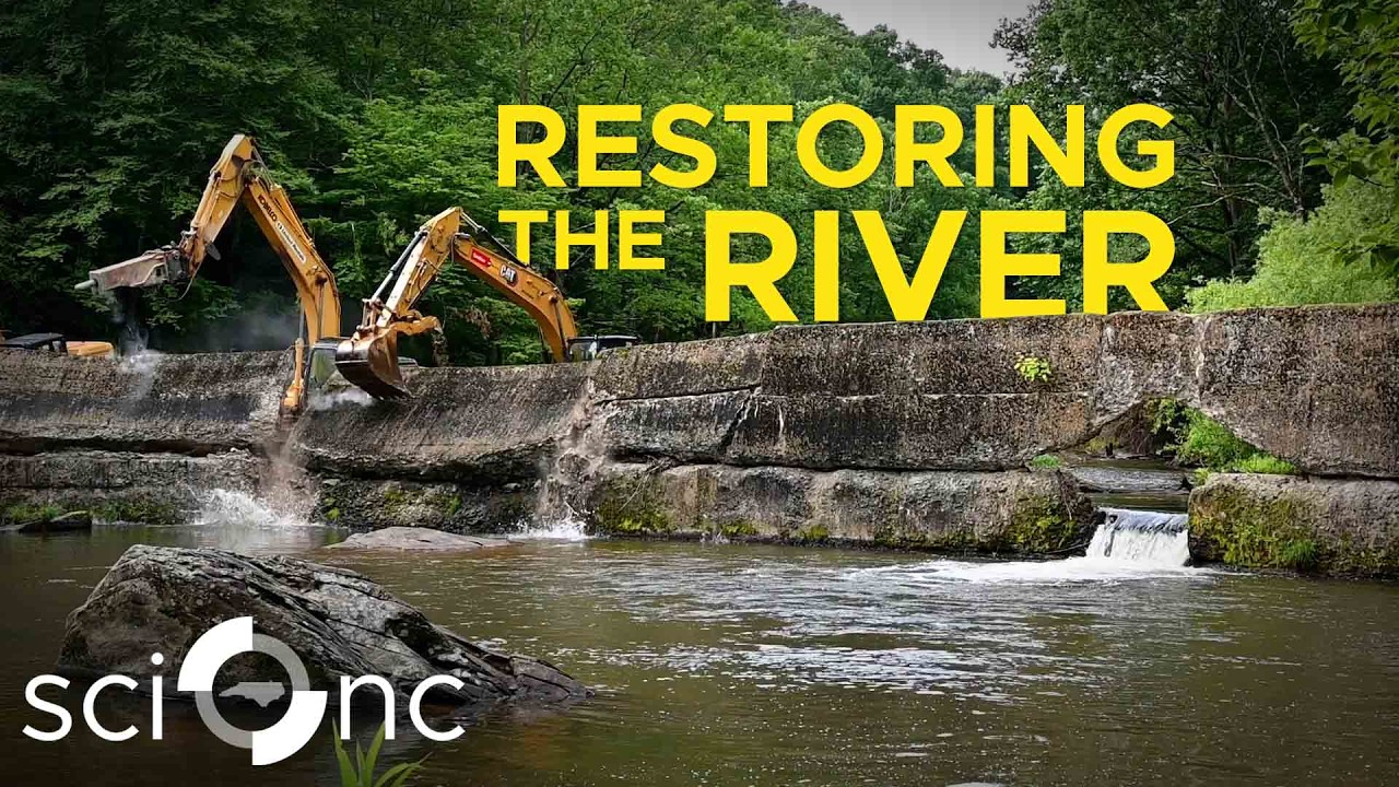 Why tearing down a dam is good for river conservation