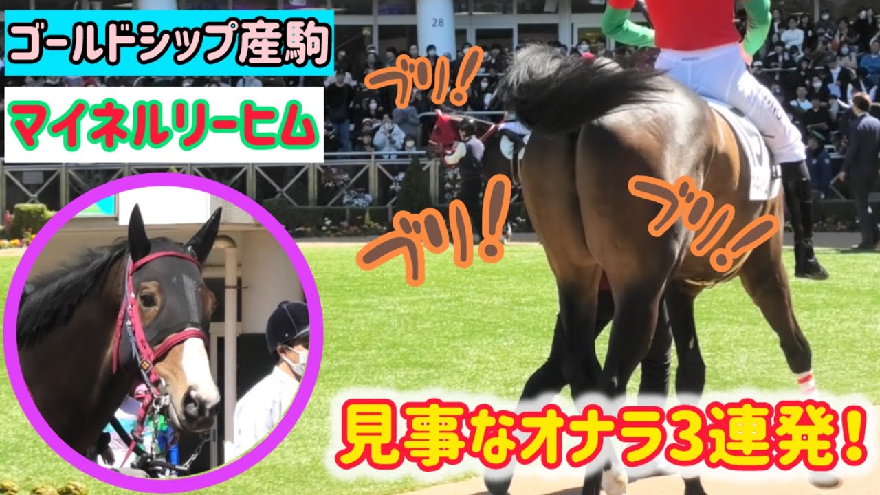 【ゴールドシップ産駒】騎手を乗せてリズミカルなオナラを奏でるマイネルリーヒム