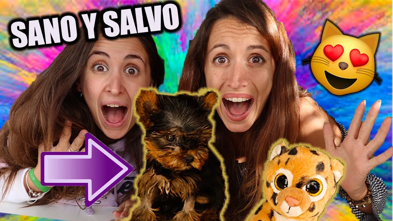RESCATAN A MI CACHORRO!!! *Mil gracias*