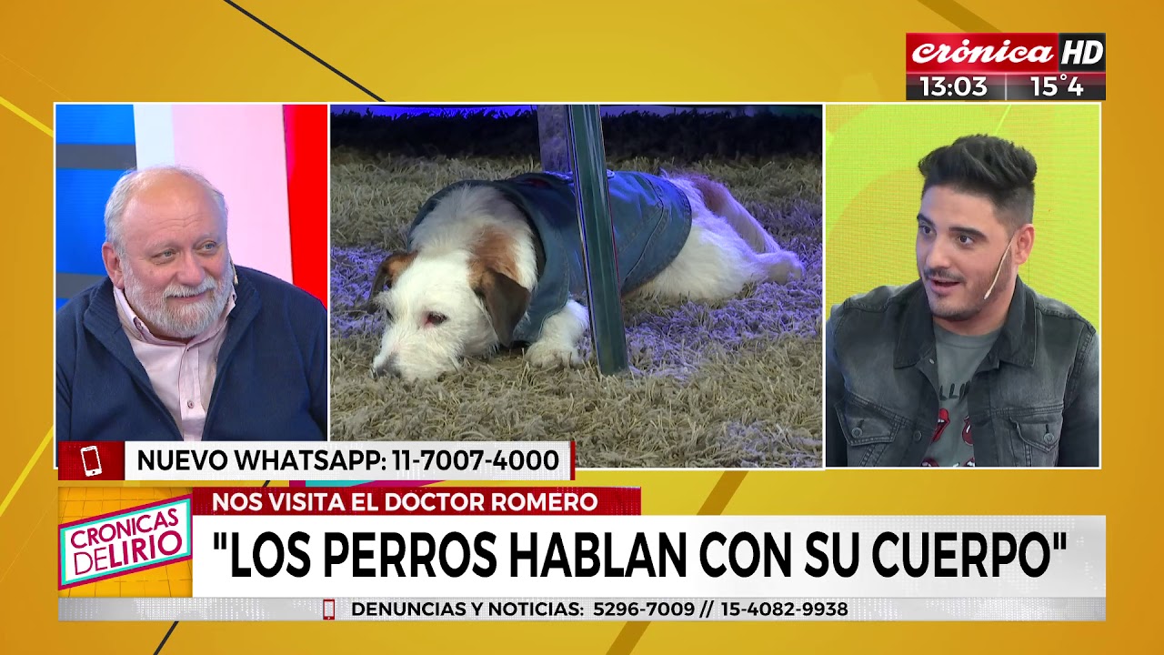 Nos visita el Dr. romero 