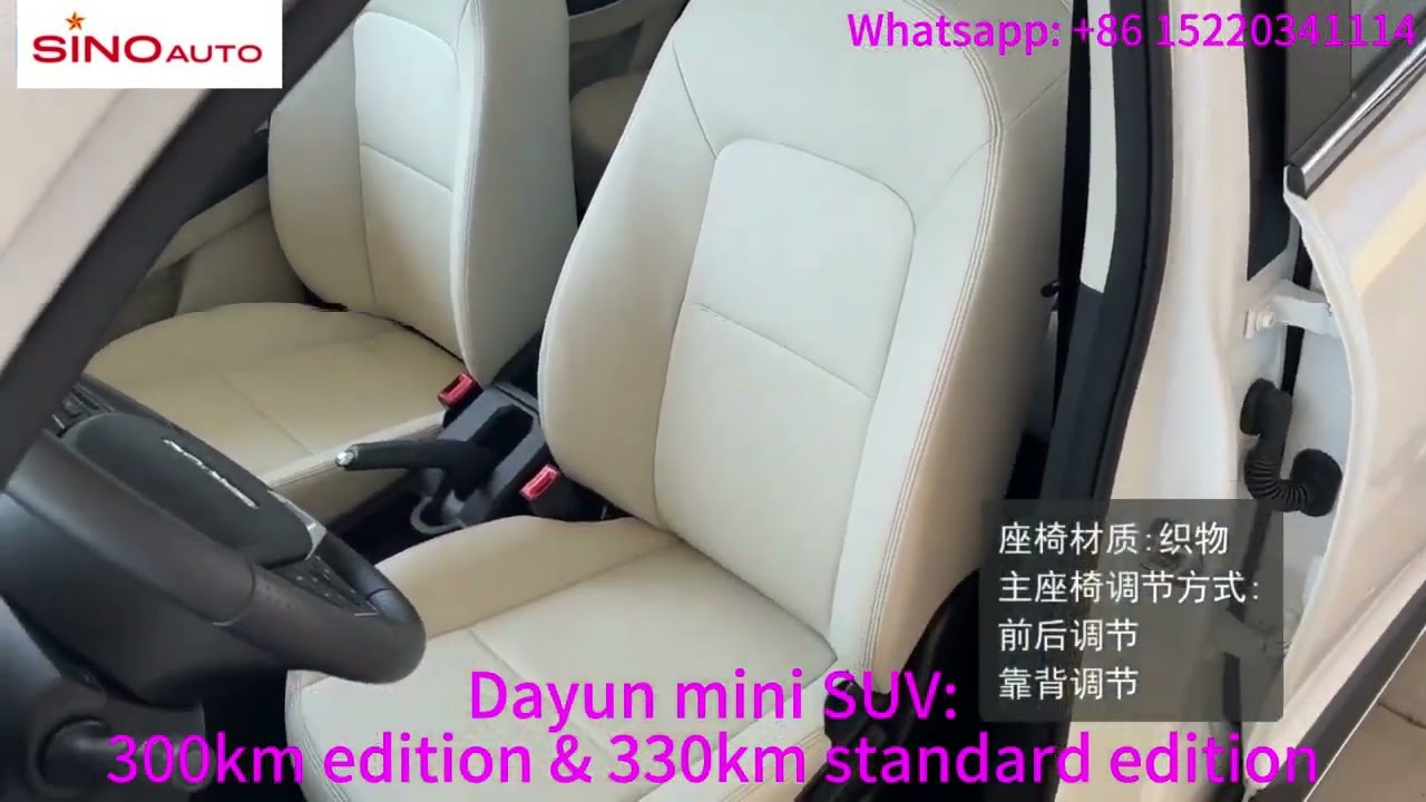Dayun mini SUV - 300 km edition and 330 km edition
