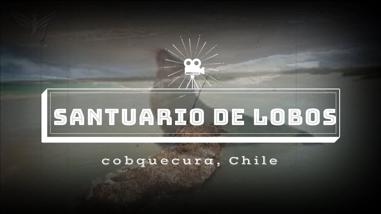 T02/E05 Santuario de lobos. Cobquecura. CICLOTURISMO