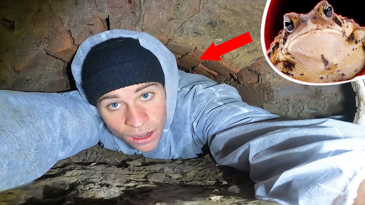 PANIK in KLAUSTROPHOBISCHEM TUNNEL ! KRÖTEN ALARM 🐸