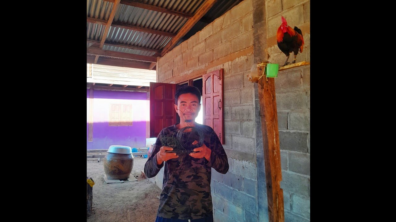 วิทีทำคืนดักไก่ป่า//ວິທີທຳຄືນດັກໄກ່ປ່າ//พราน ทองแท้//3.ก.พ.2026