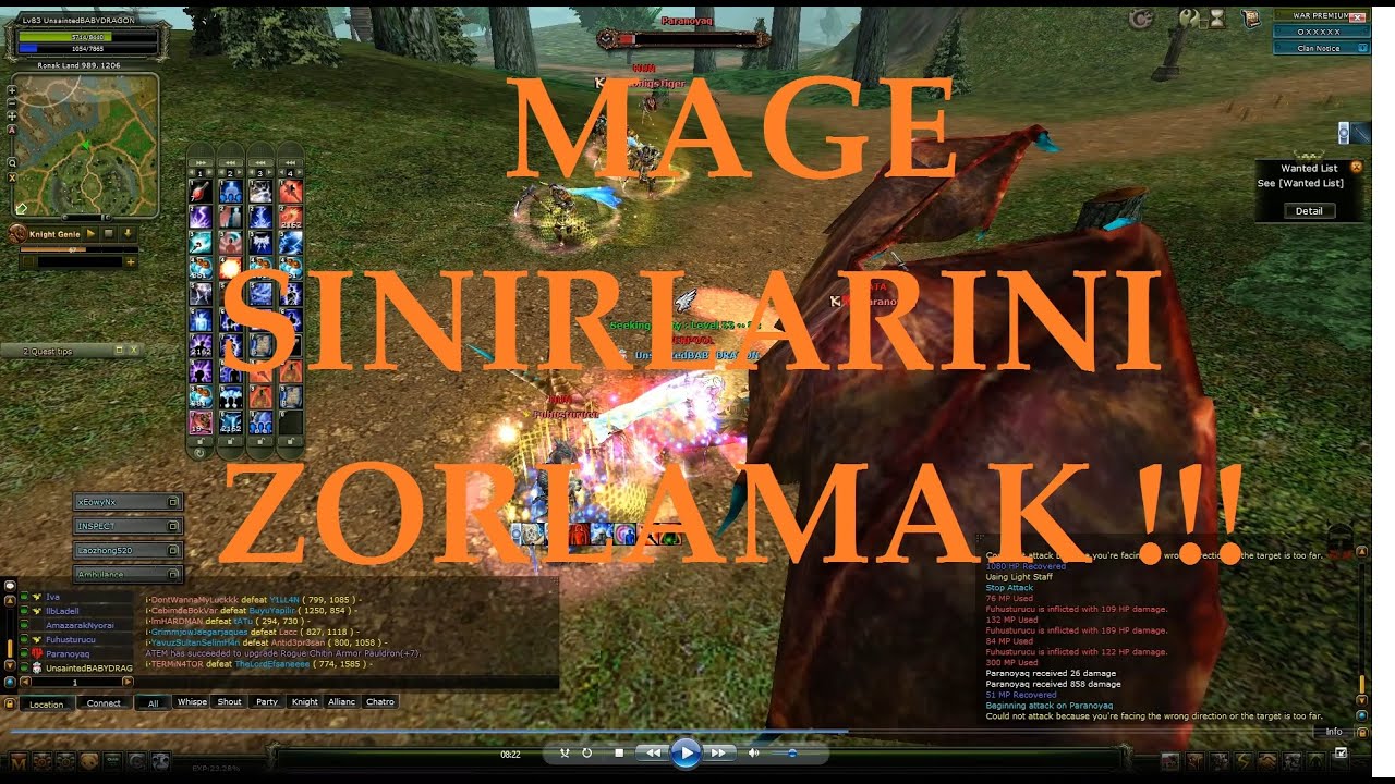 BABYDRAGON ALTAR 83 LR MAGE SOLO PK