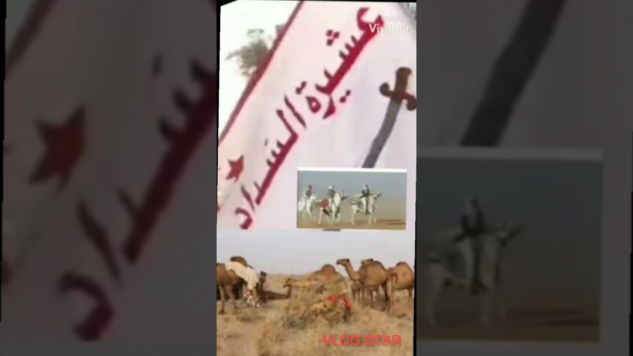 حدوه على الشداد| بصوت العازف مبارك السالمي