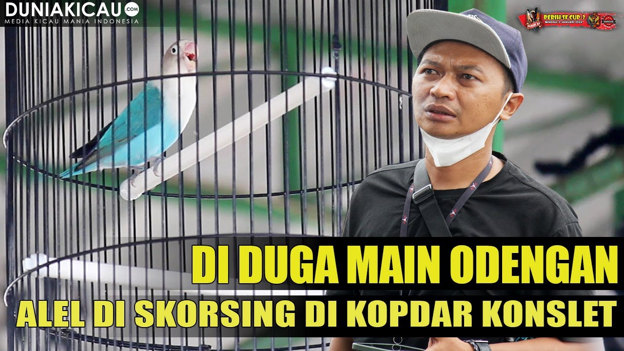 DI DUGA MAIN ODENGAN - ALEL ABS di SKORSING DI KOPDAR KONSLET