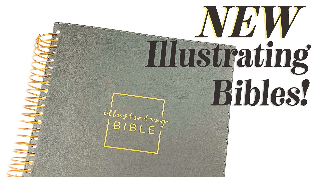 NEW BIBLE! DaySpring NIV Illustrating Bible