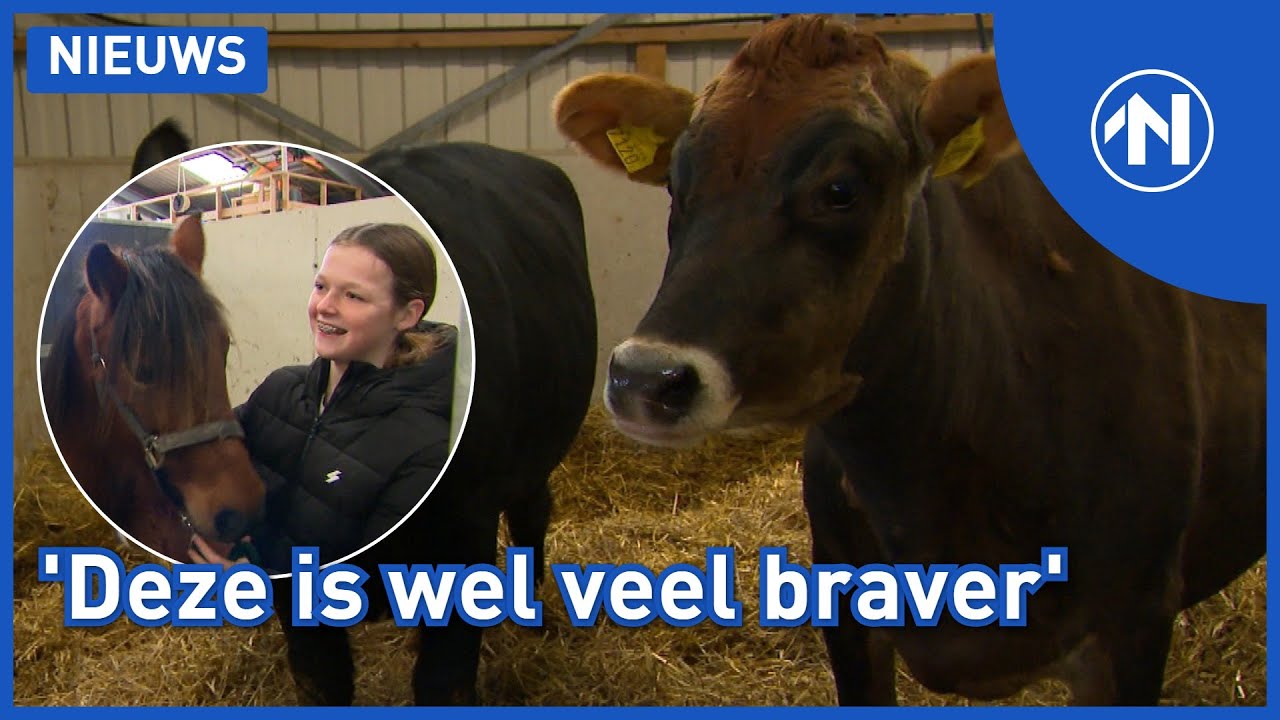 Lieke rijdt eindelijk op een pony