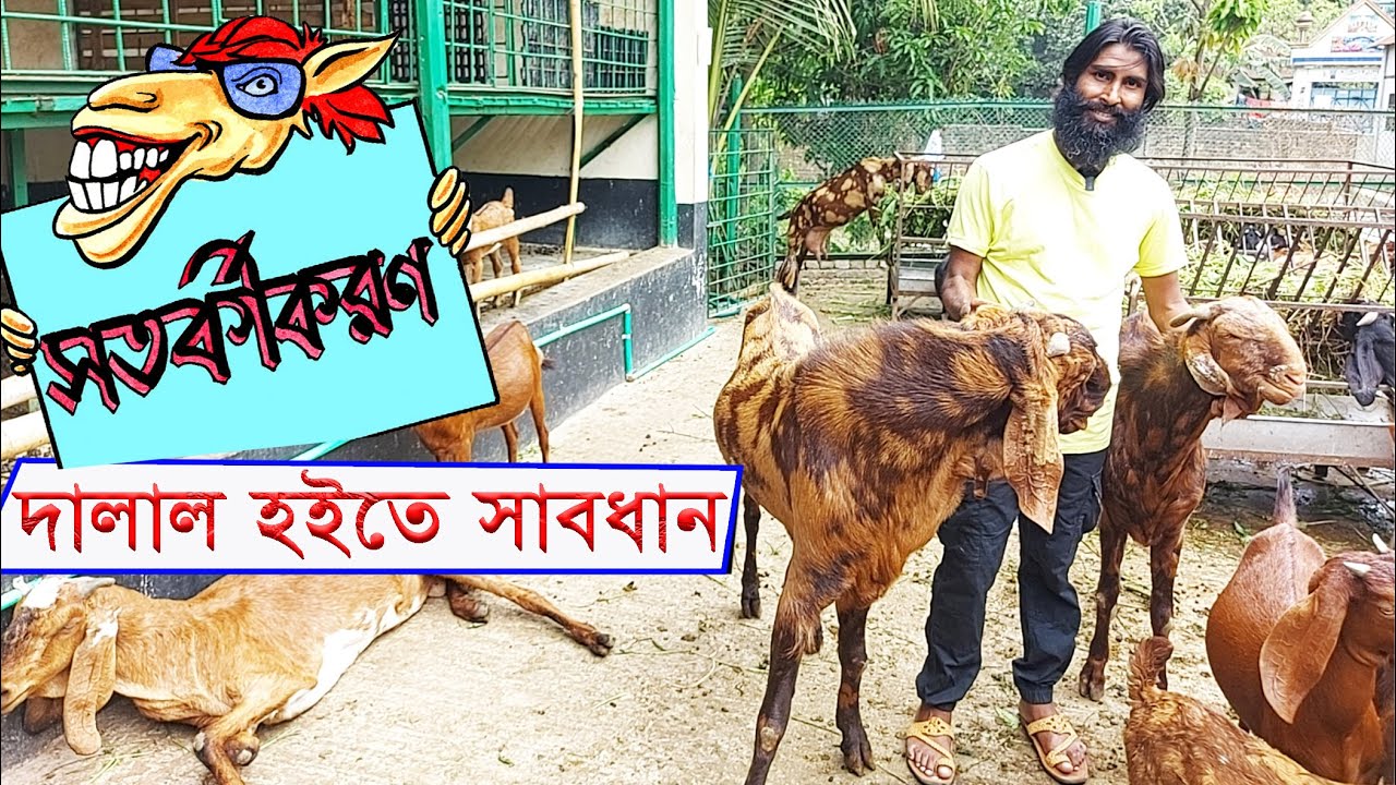 ছাগল পালনে দালাল হইতে সাবধান ।। Beware of brokers in goat rearing
