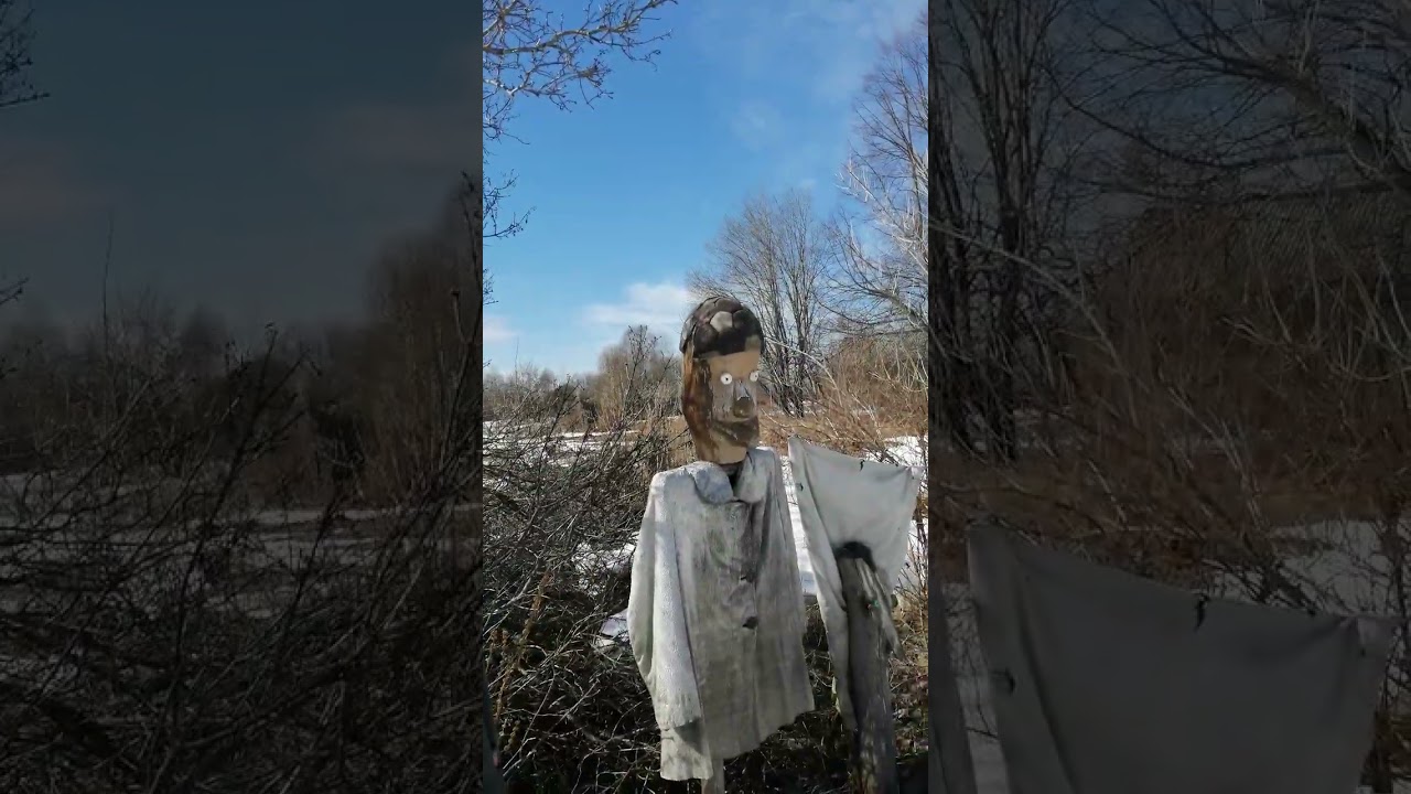 Ремонтировал головы людям) #лесной #nature #обзордачи
