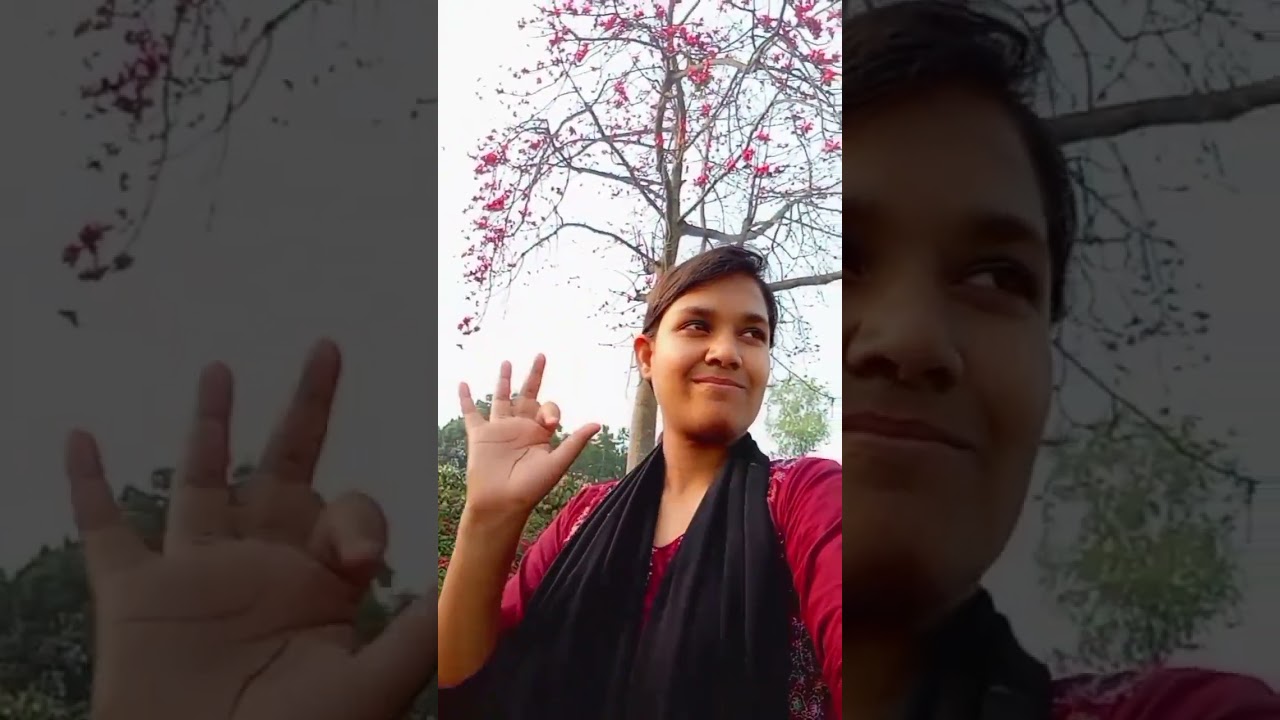 আমাদের বাড়ির সামনে কতো সুন্দর শিমুল ফুল   ফোটছে🤷🤷😱😱Boishakhi Mirza‌। YouTube channel। 🫶🫶🫶