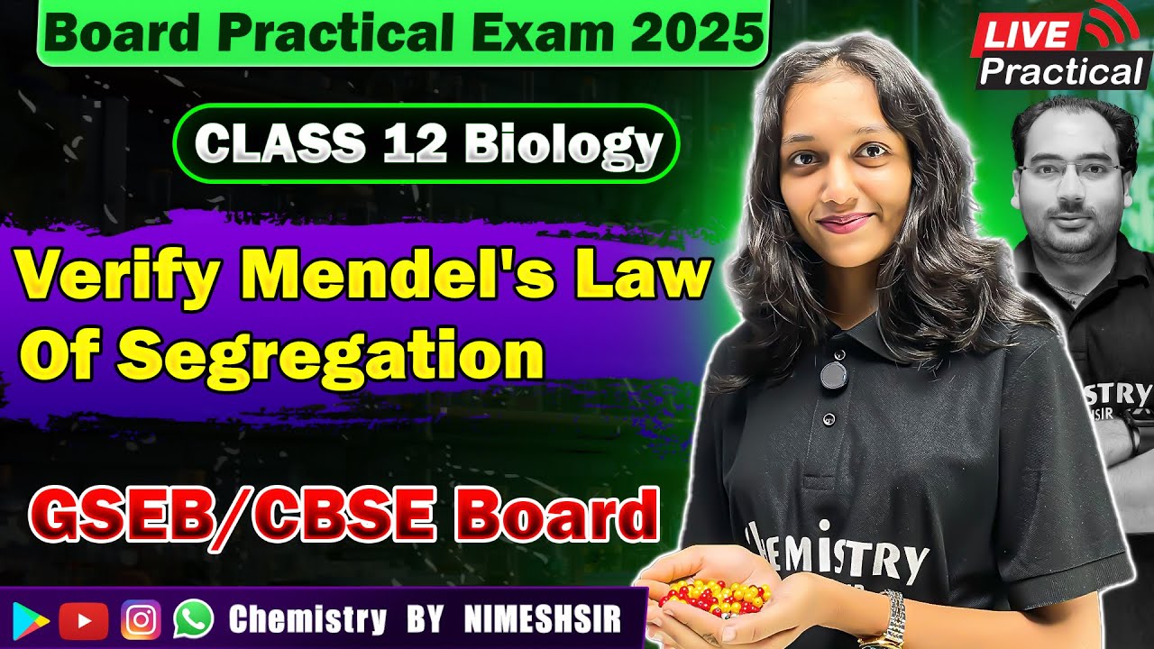 BOARD PRACTICAL EXAM 2025 | verify mendel's law of segregation