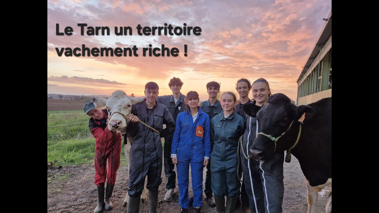 Le Tarn un territoire vachement riche !