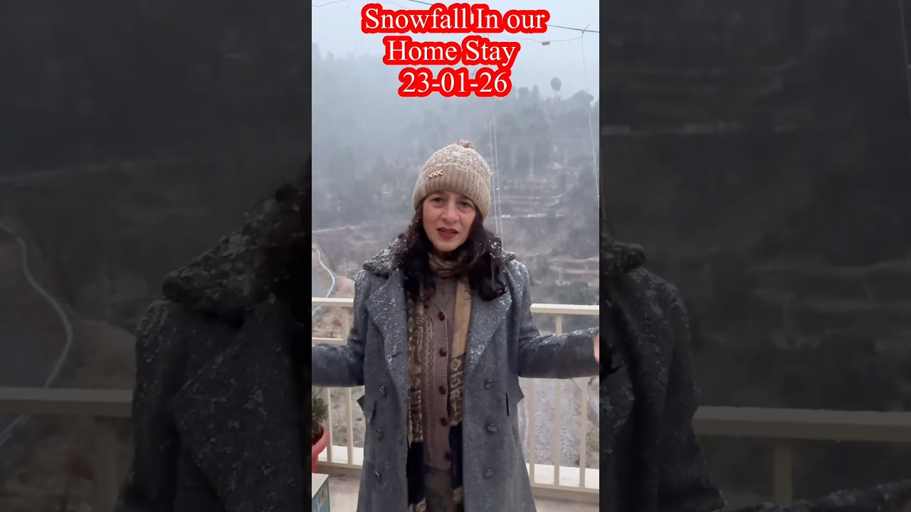 Snowfall at our Pahadi Safari Cottage,Home Stay,Mukteshwar# #pahadisafaricottage #pahadisafari