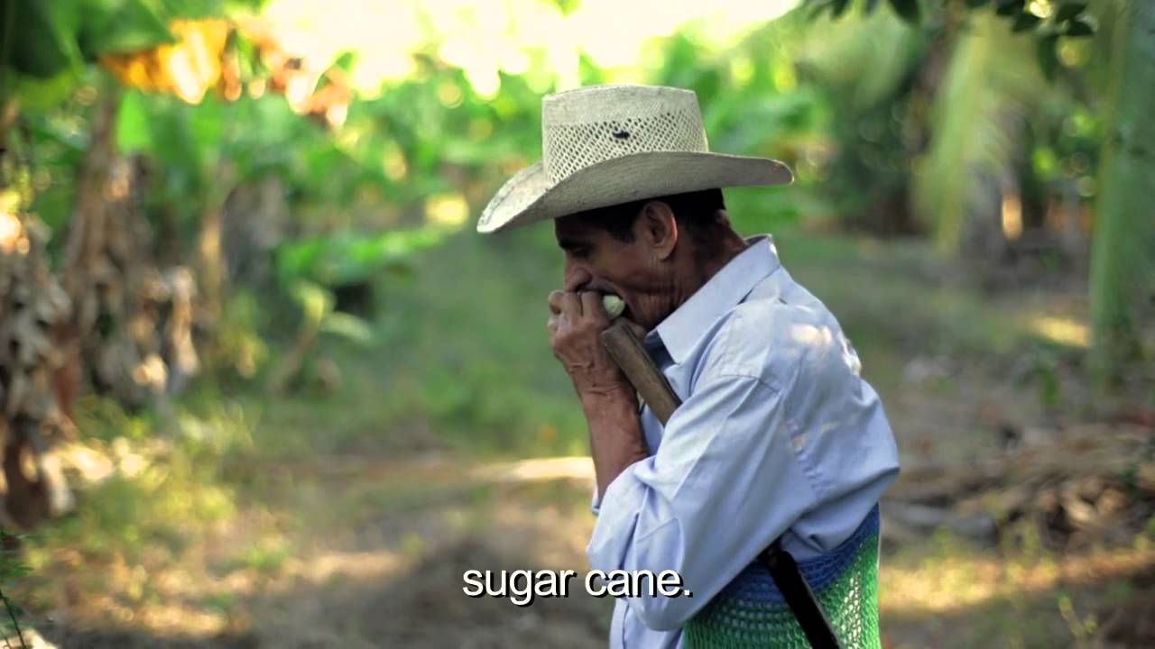 El Salvador: Adolfo and his seed bank