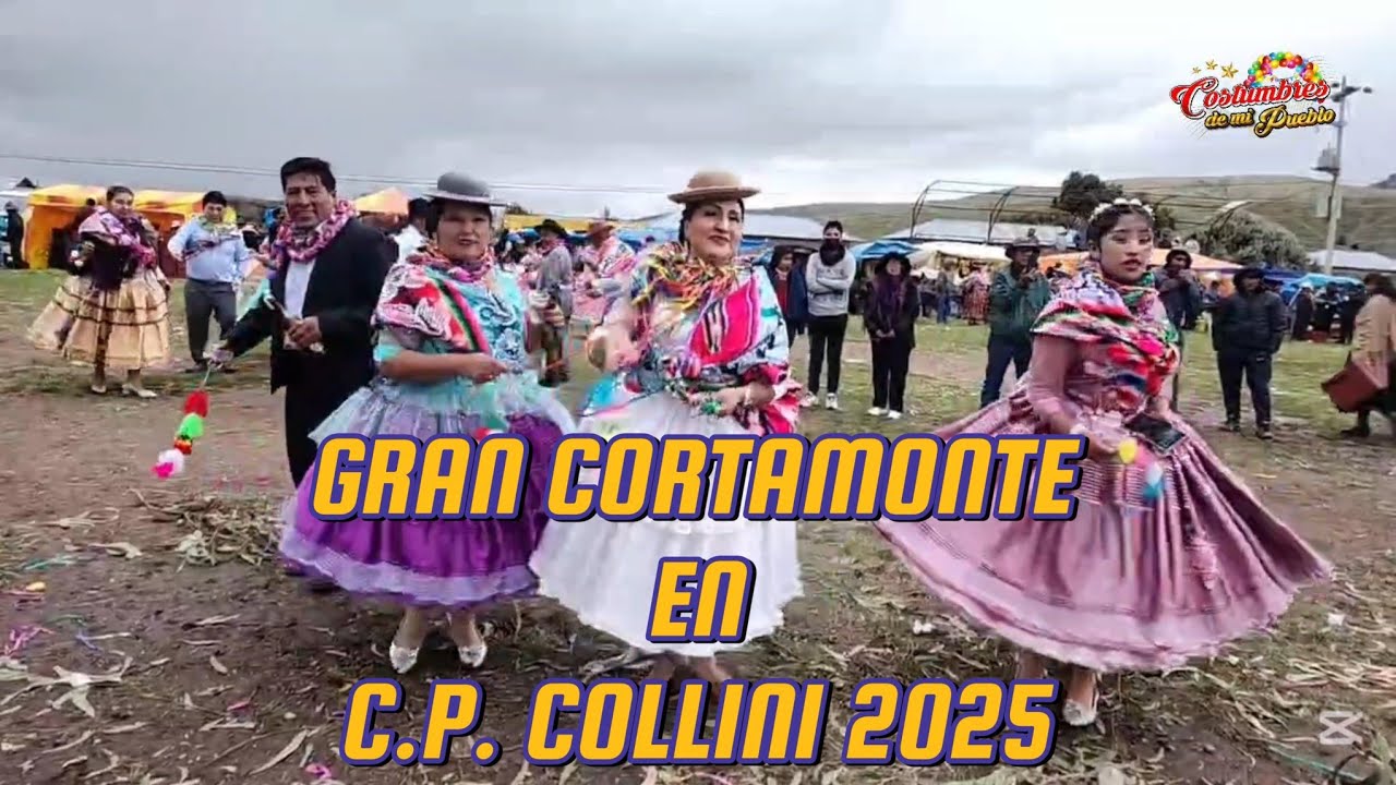 GRAN CORTAMONTE EN CENTRO POBLADO DE COLLINI POMATA 2025