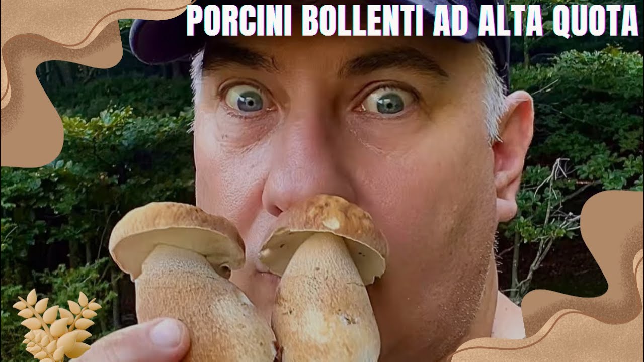 Funghi porcini 2025- Porcini bollenti ad alta quota