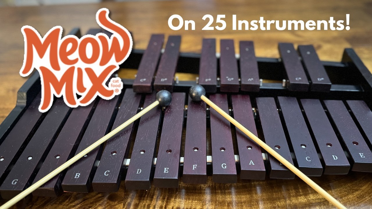 Meow Mix Jingle on Every Instrument… Including a Cat Piano!