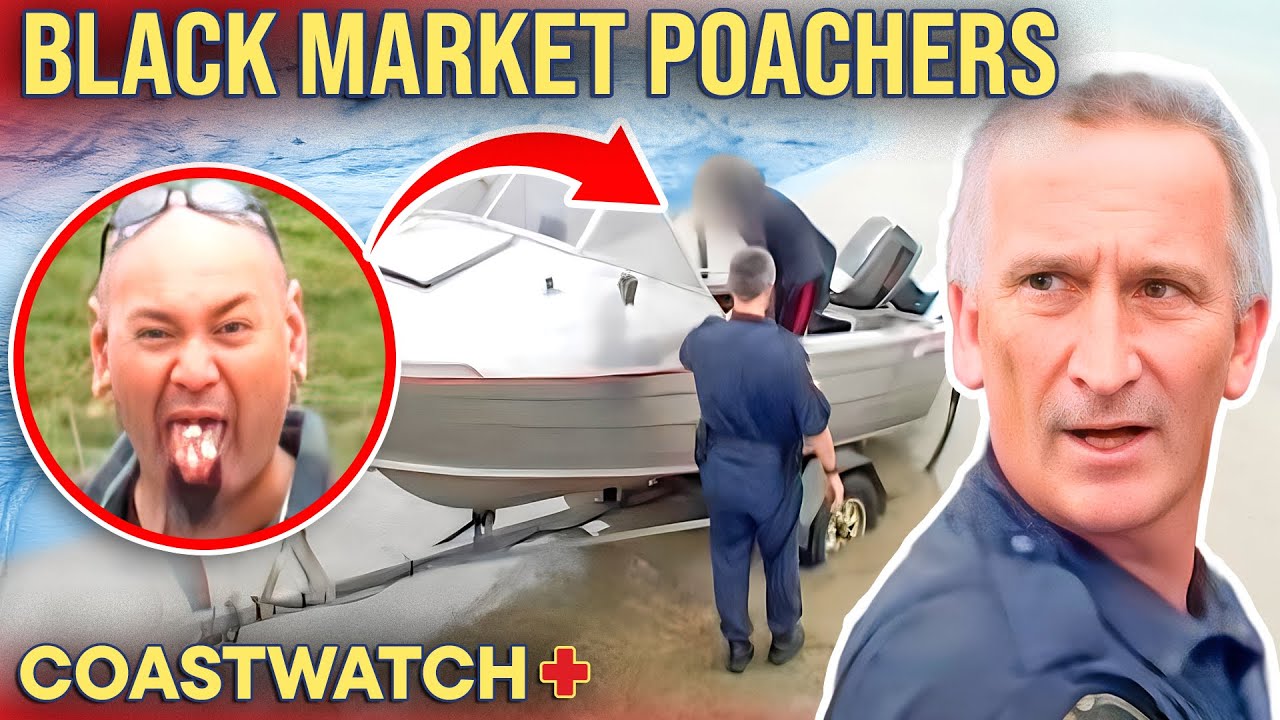 Furious Poachers CAUGHT Overfishing Paua! | Coastwatch - S3 E2 (FULL EPISODE)