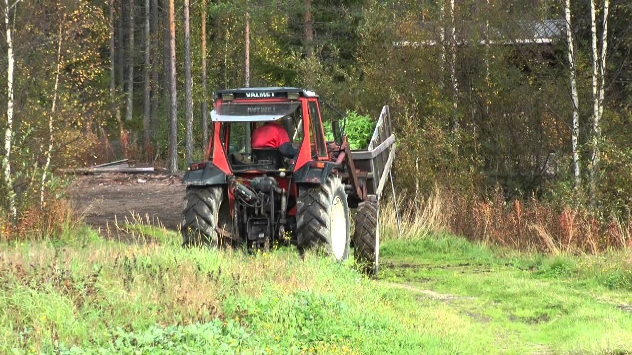 Nokkosen viljely, Matti Veijola Ärmätin osuuskunnasta kertoo