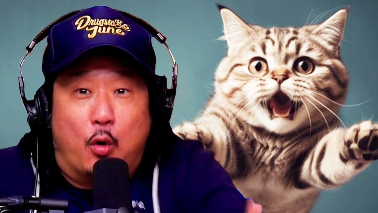 What The Hell Is Wrong With Bobby Lee's Cat??