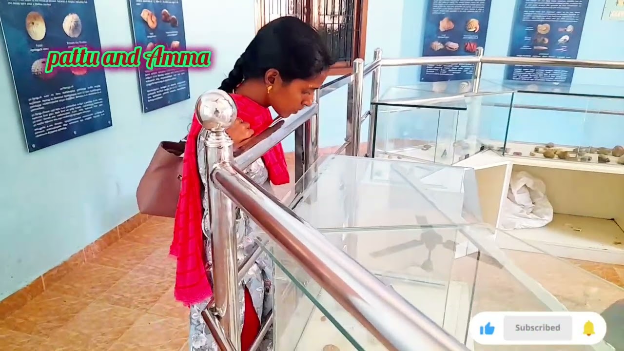 #சாத்தனூர் கல் மர பூங்கா அருங்காட்சியகம்# perambalur district #