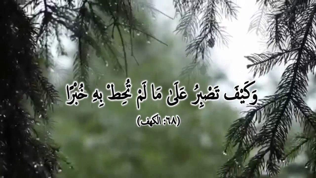 وَكَيْفَ تَصْبِرُ عَلَىٰ مَا لَمْ تُحِطْ بِهِ خُبْرًا :مقطع قصير من تدبر - كل يوم آية -