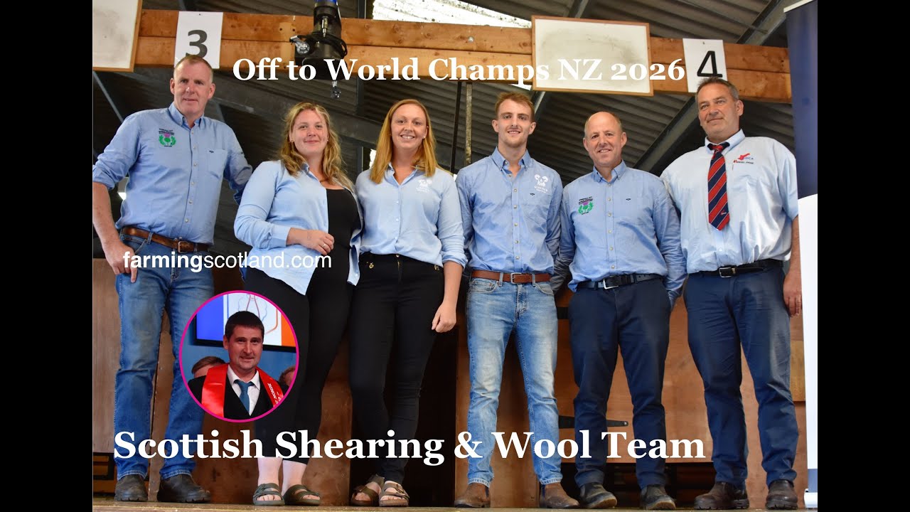 SCOTTISH SHEARING TEAM 2026