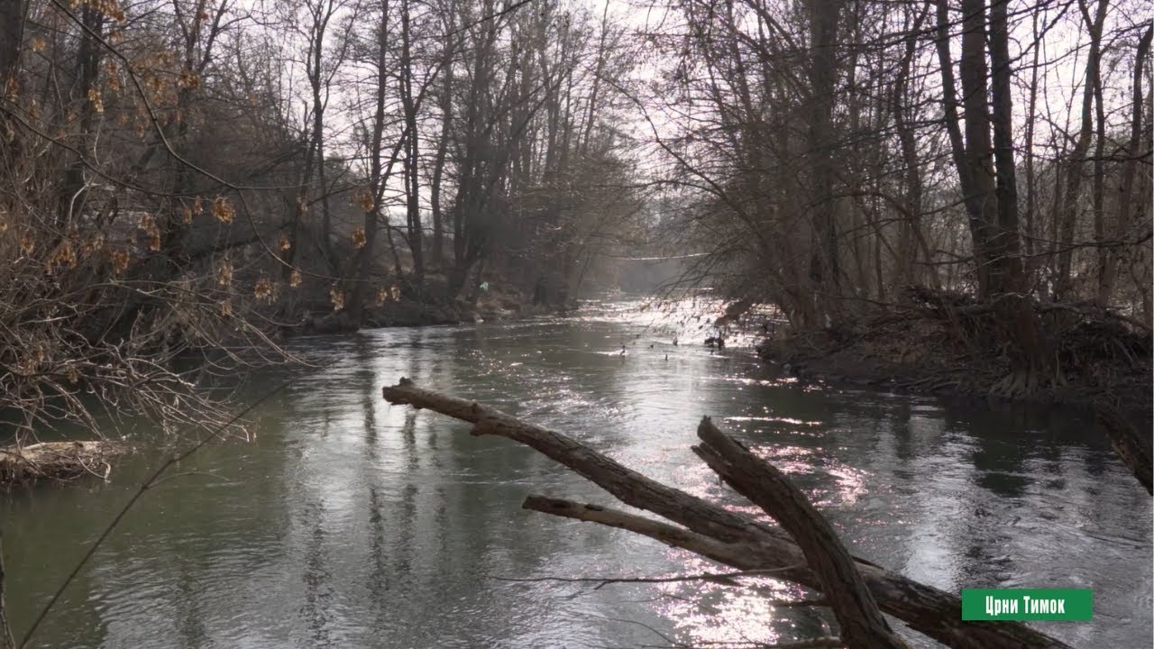 Reke i jezera - Timok