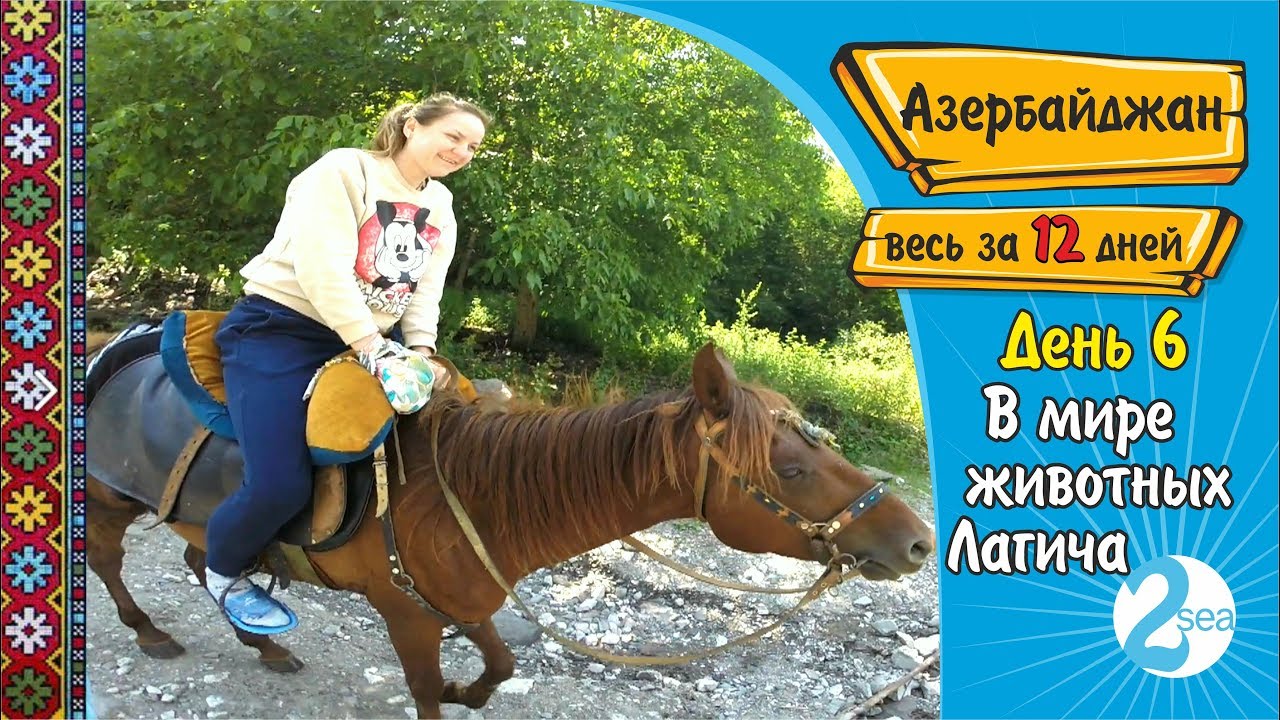 #10. Путешествие в Азербайджан. Лагич. В мире животных Лагича. День 6. Весь Азербайджан за 12 дней