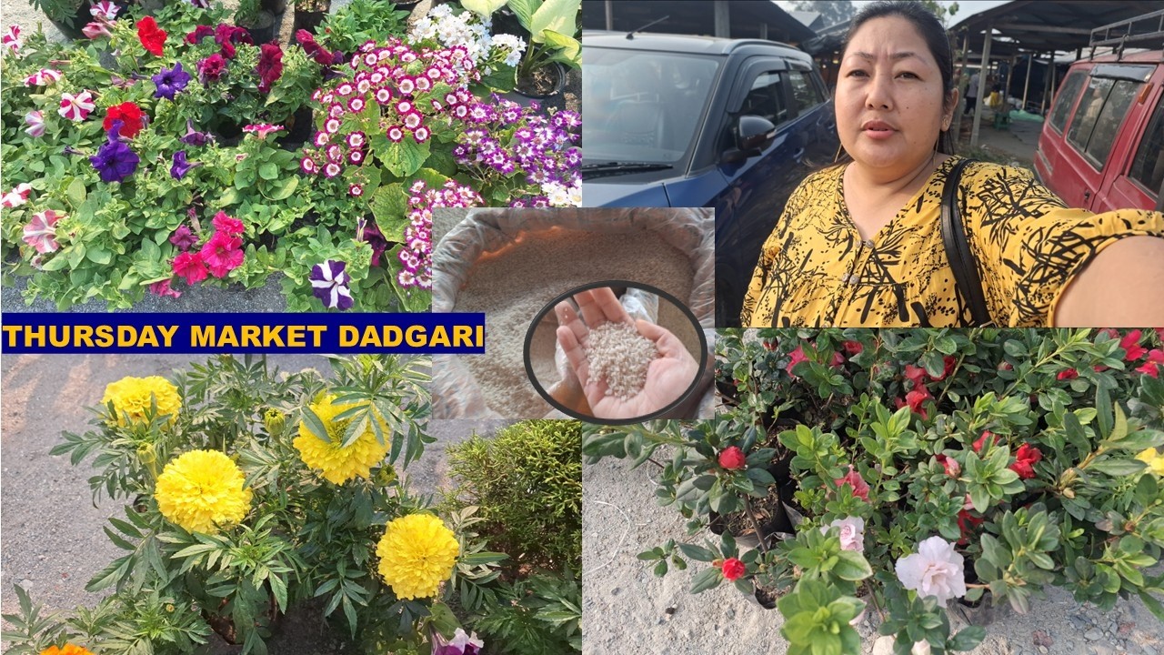 INDIA-BHUTAN BORDER WEEKLY MARKET @DADGARI | BHUTANESE SHOPPERS POINT | DADGARI | POPULAR MARKET