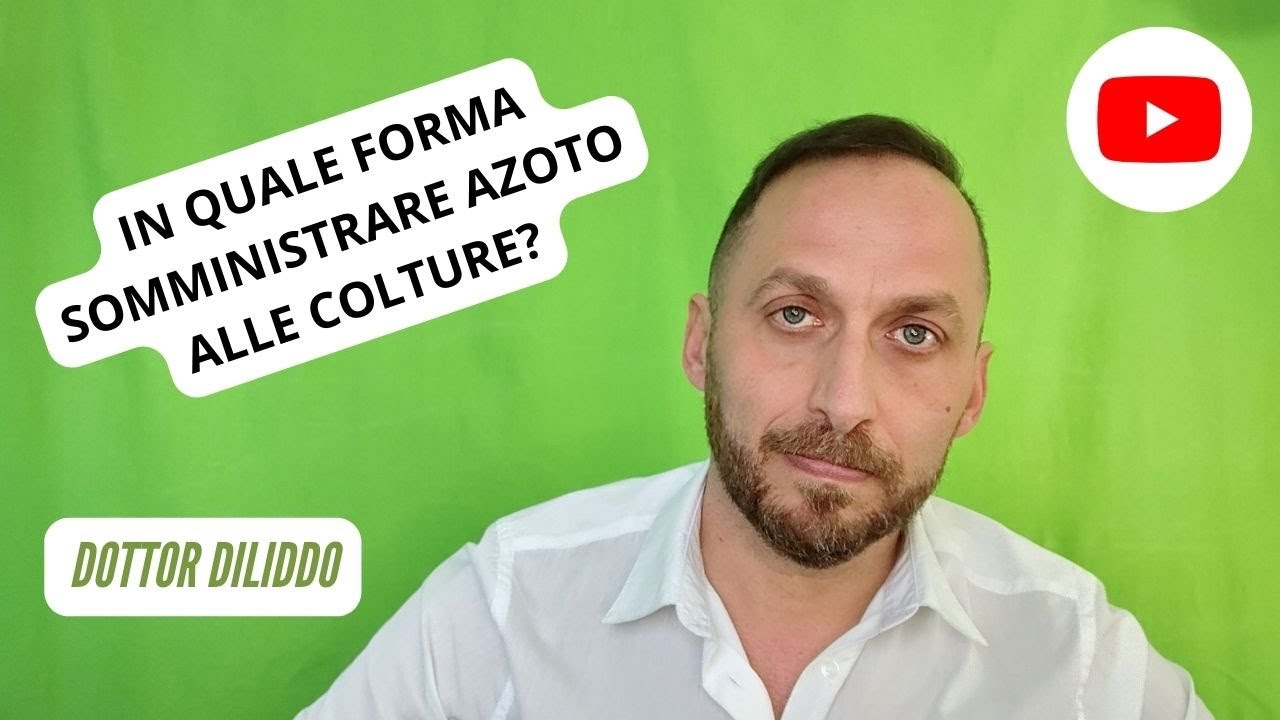 In quale forma somministrare azoto alle colture?