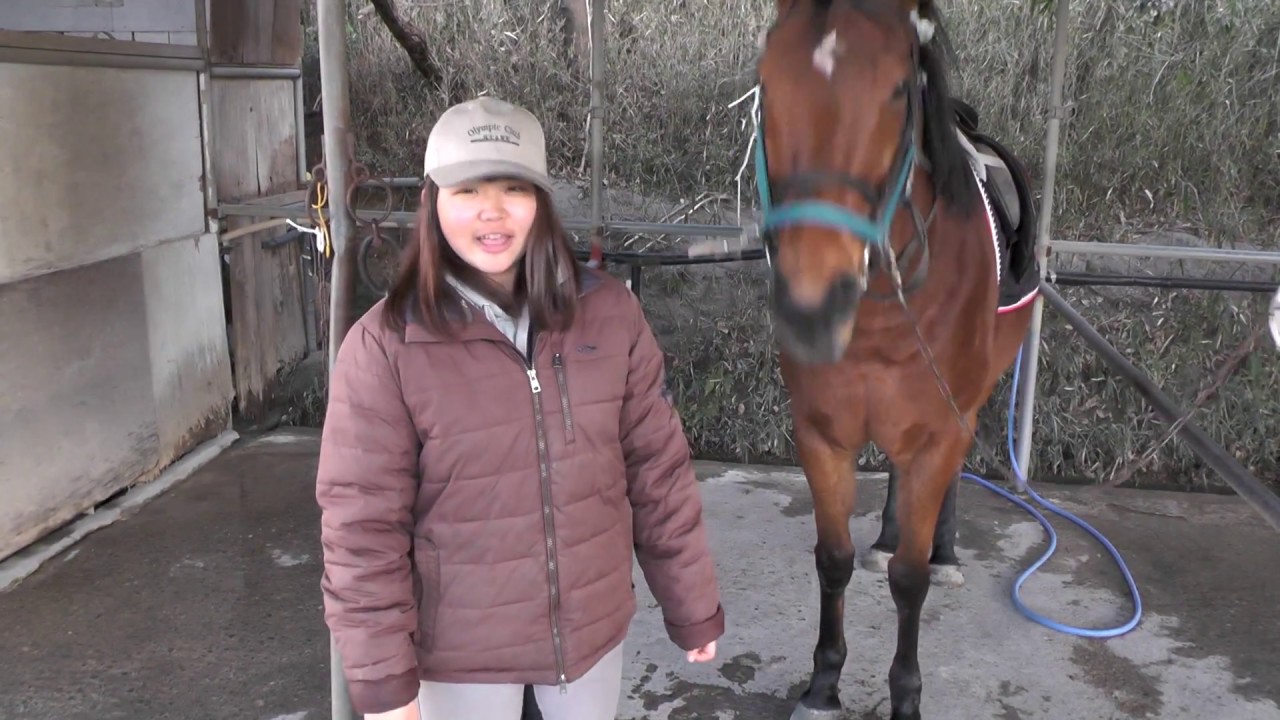 こうき・かえでのやさしい乗馬クラブ馬装-頭絡編
