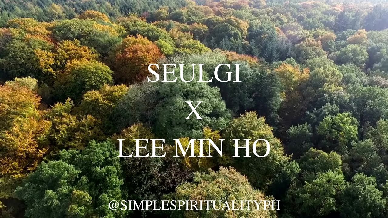 Reading the Energy of Seulgi and Lee Min Ho (Requested Video)