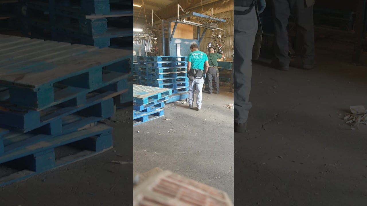 reparación de paletas chep trabajando duro y a gusto con mis compas ajua...
