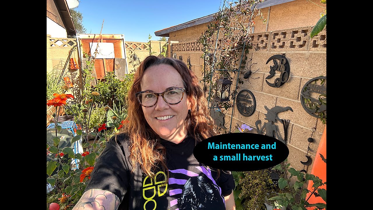 Maintaining a small space garden and a small harvest.