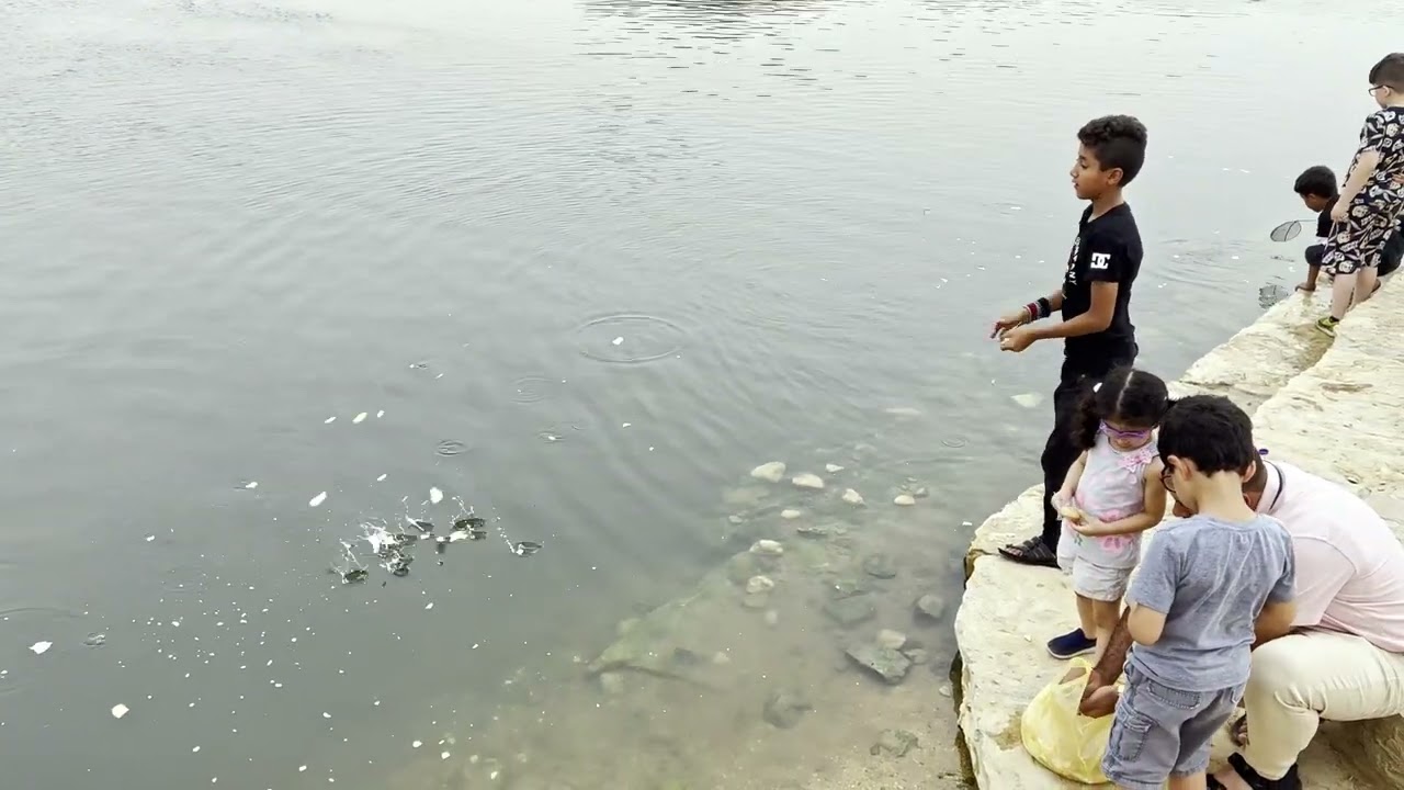Lakes Park  بحيرات الحائر متنزه مميز
