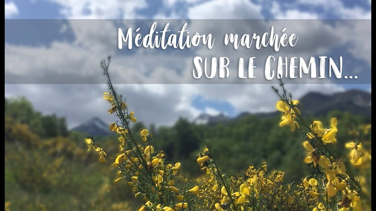 Le beau chemin : marcher en pleine conscience