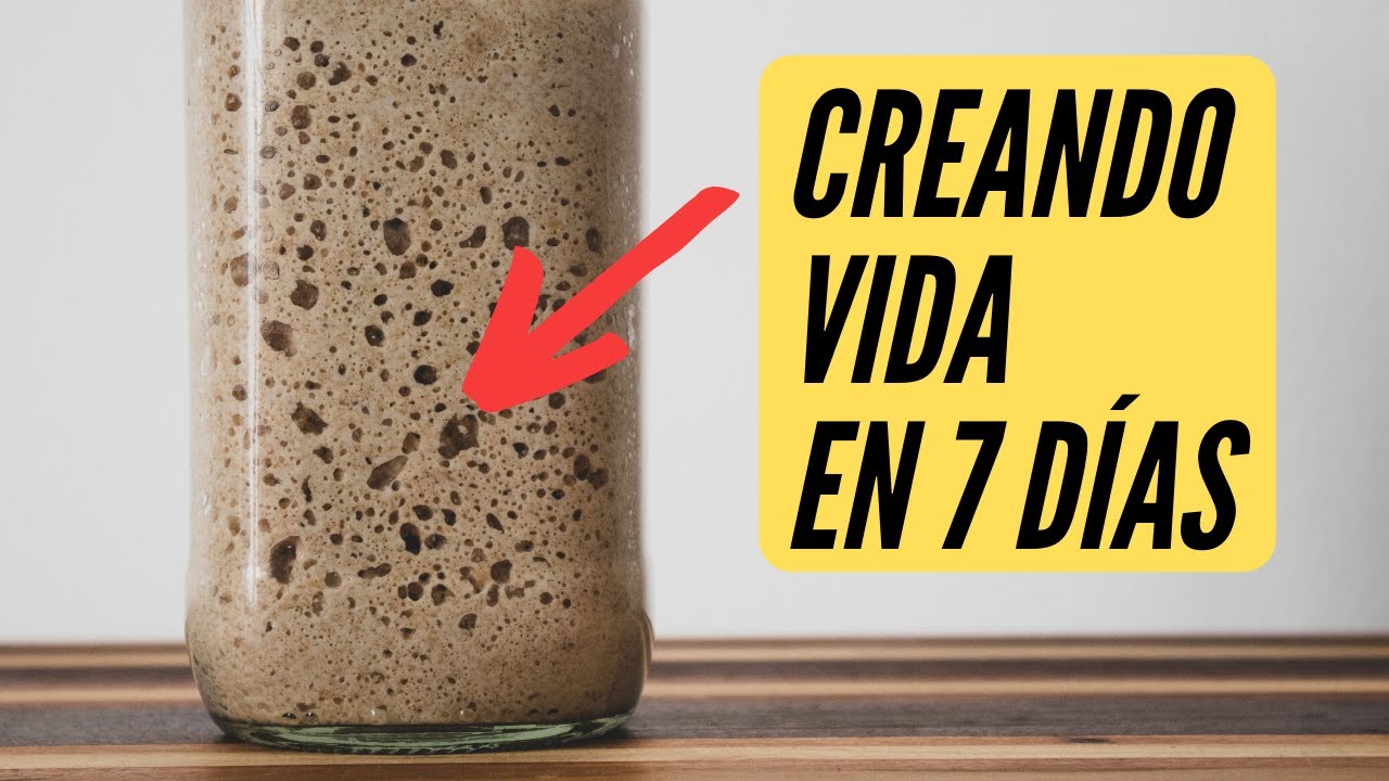 ► CREANDO VIDA en 7 días [Cómo hacer una MASA MADRE]