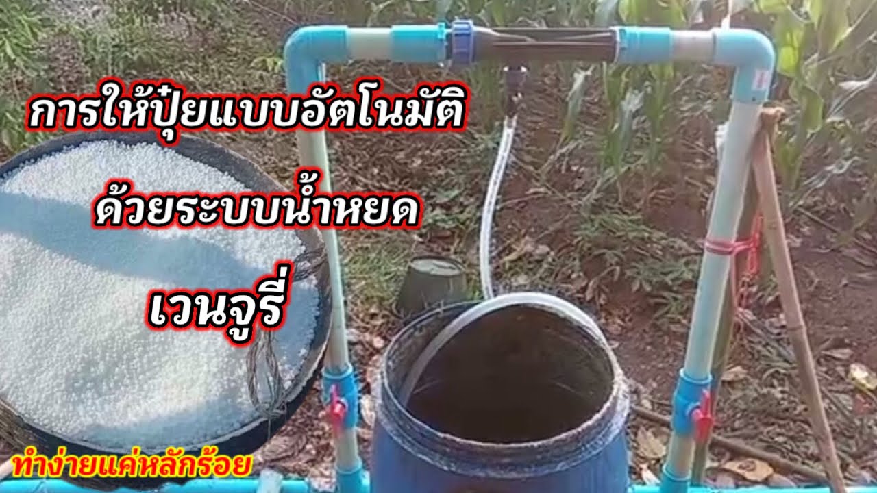 ใส่ปุ๋ยข้าวโพดด้วยเครื่องเวนจูรี่ง่ายๆประหยัดทั้งปุ๋ยทั้งเวลาราคาหลักร้อย