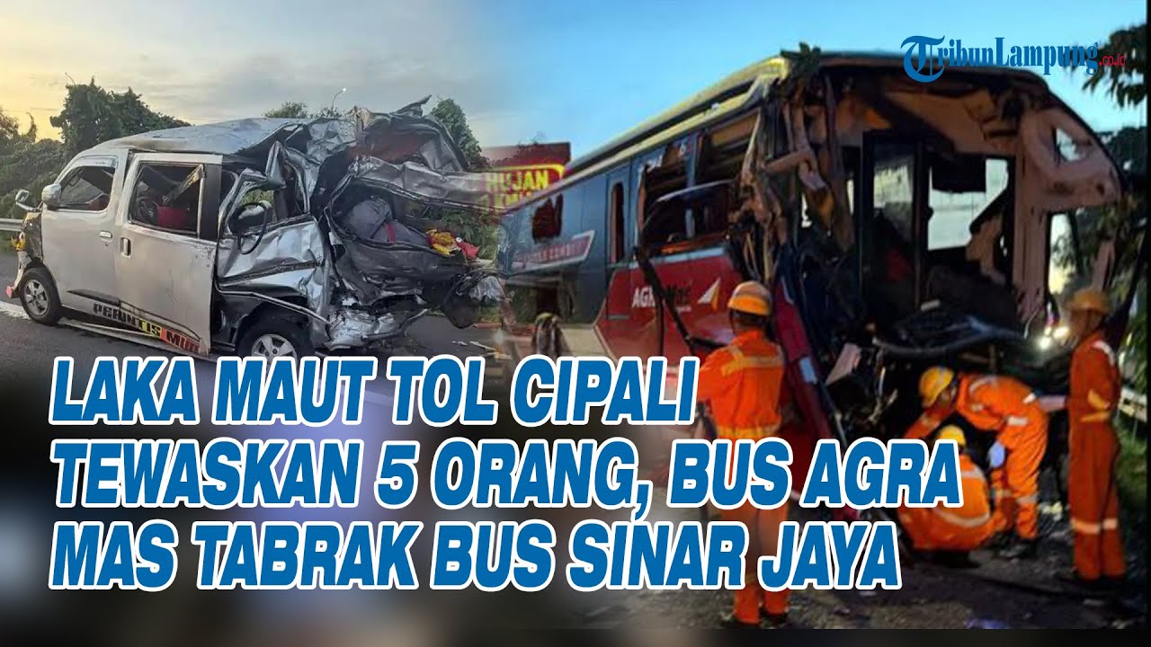 Kronologi Laka Maut Tol Cipali Tewaskan 5 Orang, Bus Agra Mas Tabrak Bus Sinar Jaya