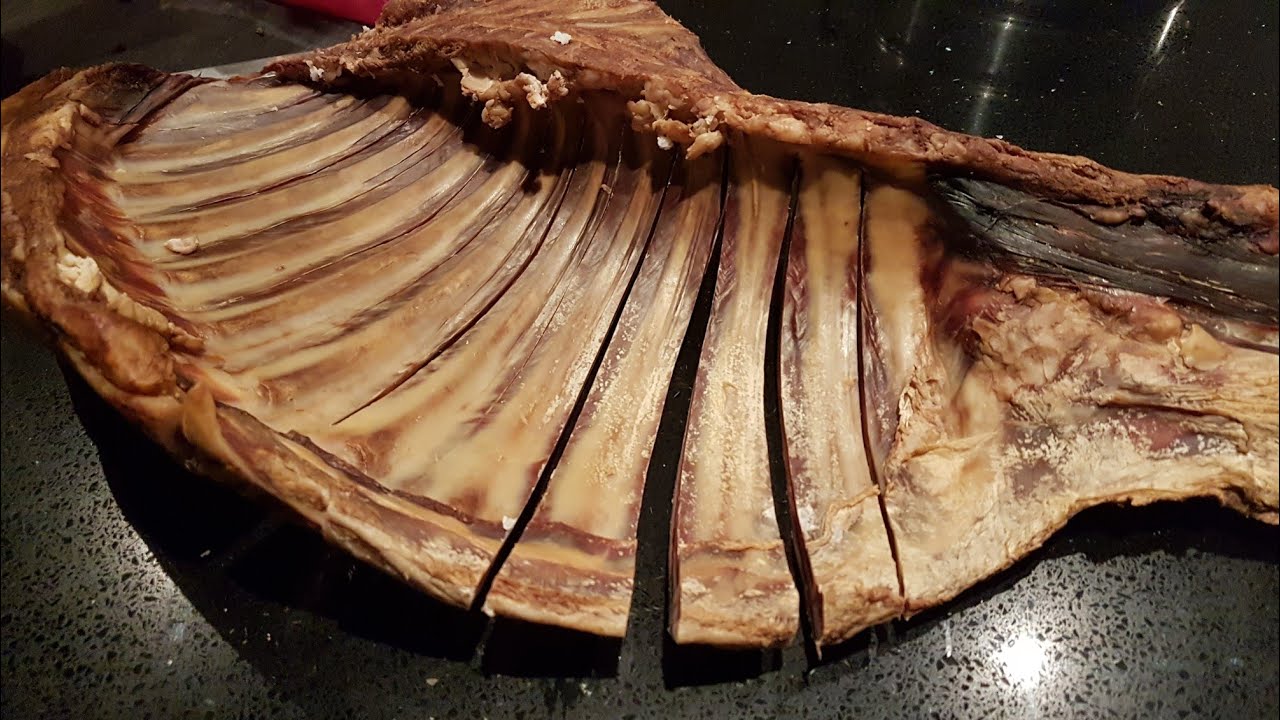 Pinnekjøtt for New Year's Eve | Norwegian traditional food | TESDAL CHANNEL