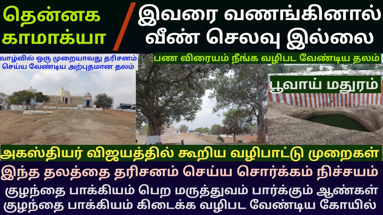 வீண் செலவு நீங்கி செல்வம் பெருக வழிபட வேண்டிய RT மலை ஸ்ரீவிராயசிலை நாதர் கோயில் | தென் காமாக்யா
